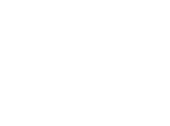 Bled's Blend SA logo
